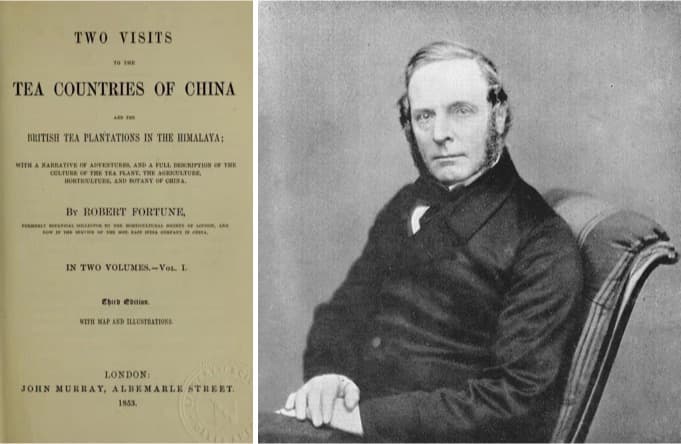 Robert Fortune portrait